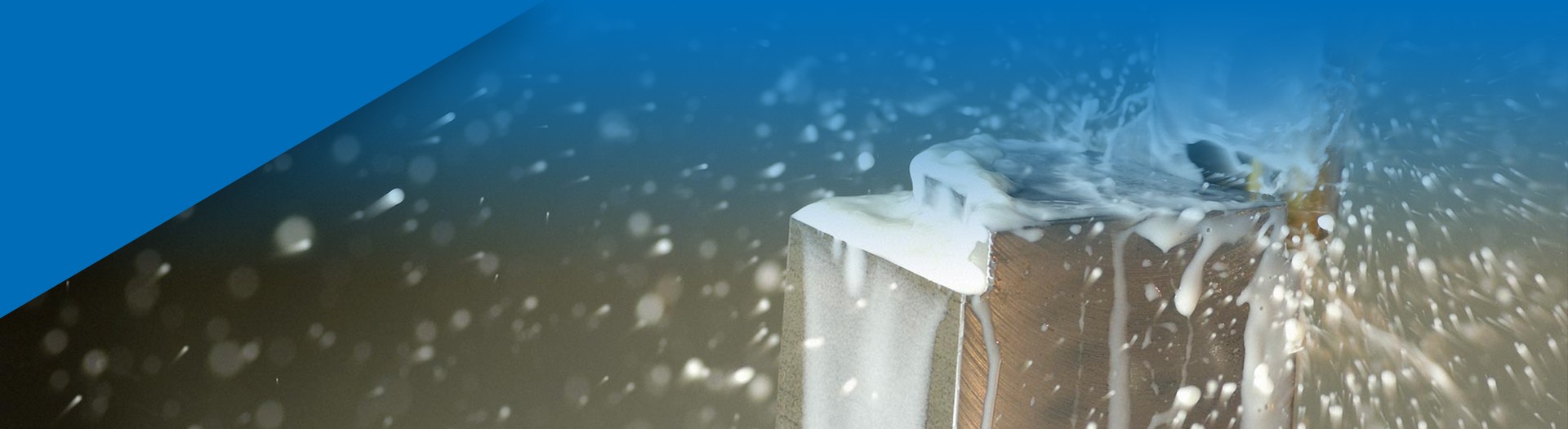 Company News
